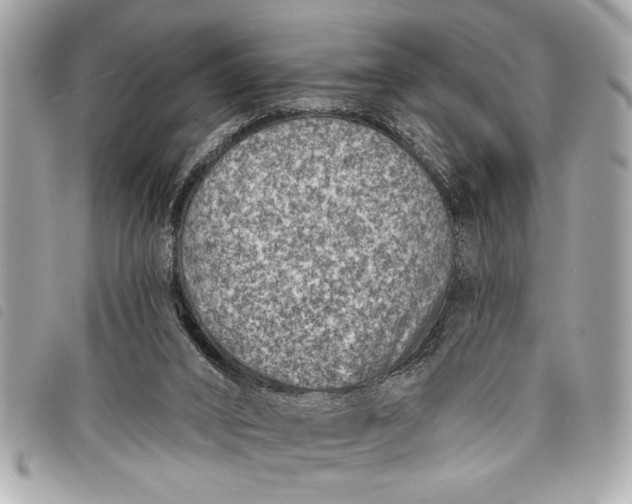 X0000098070016200804181145