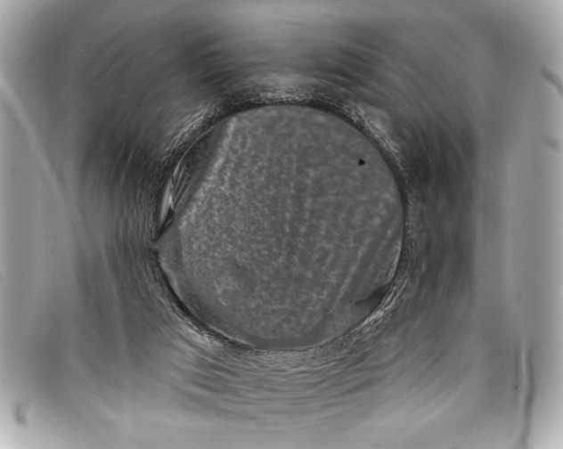 X0000098070017200804181145