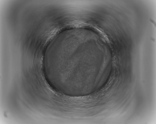 X0000098070018200804181145