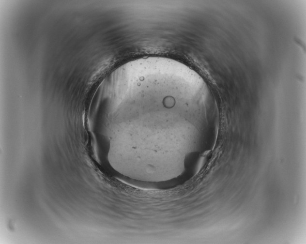 X0000098070019200804181145