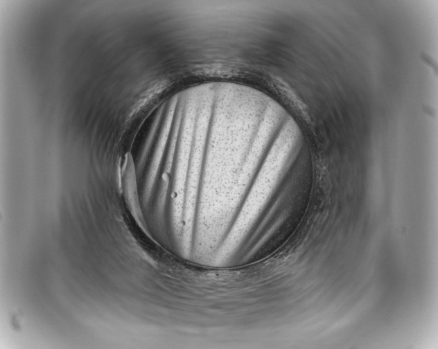 X0000098070020200804181145