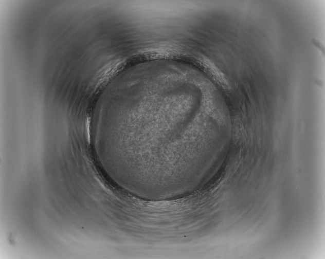 X0000098070022200804181145