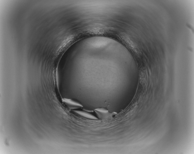 X0000098070023200804181145