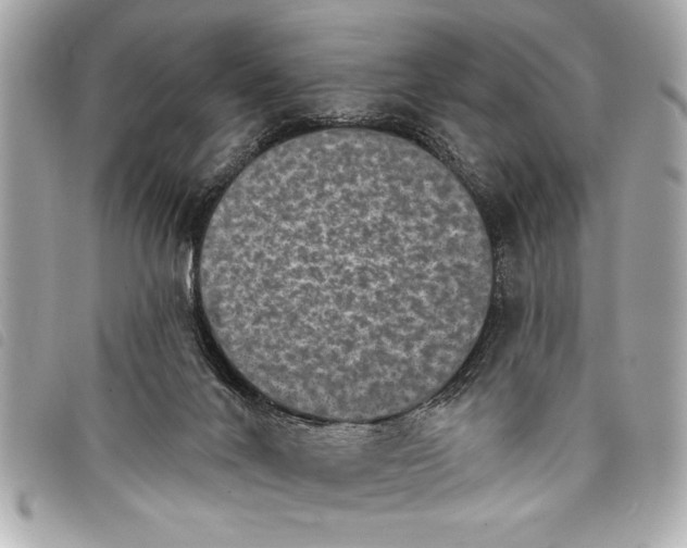 X0000098070024200804181145