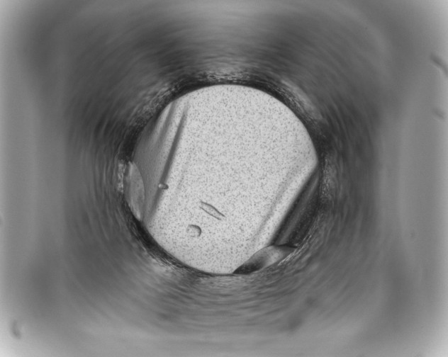 X0000098070025200804181145