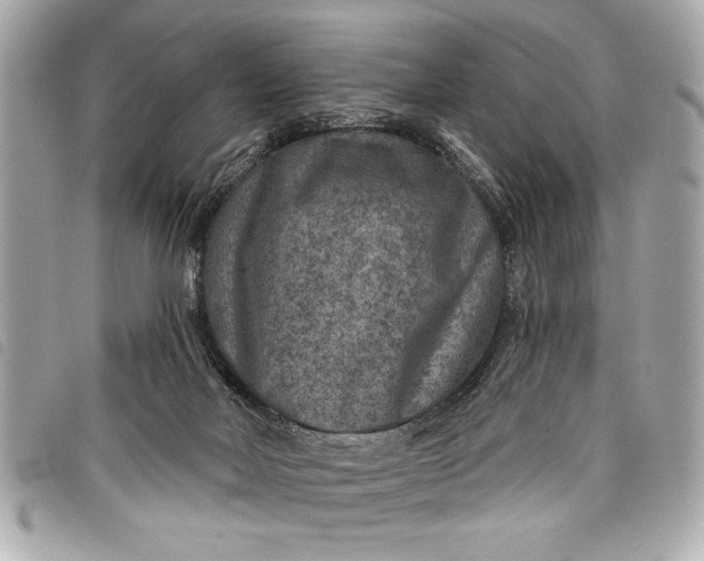 X0000098070026200804181145