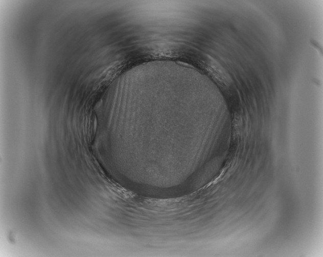 X0000098070029200804181145