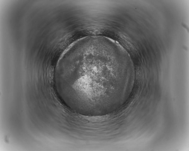 X0000098070030200804181145