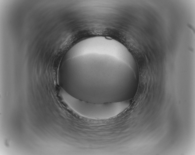 X0000098070031200804181145