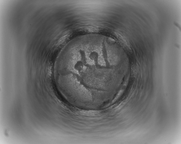 X0000098070032200804181145