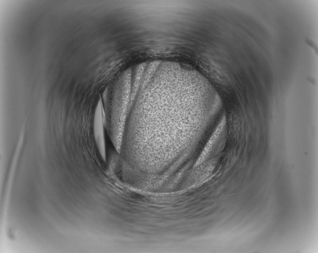 X0000098070033200804181145