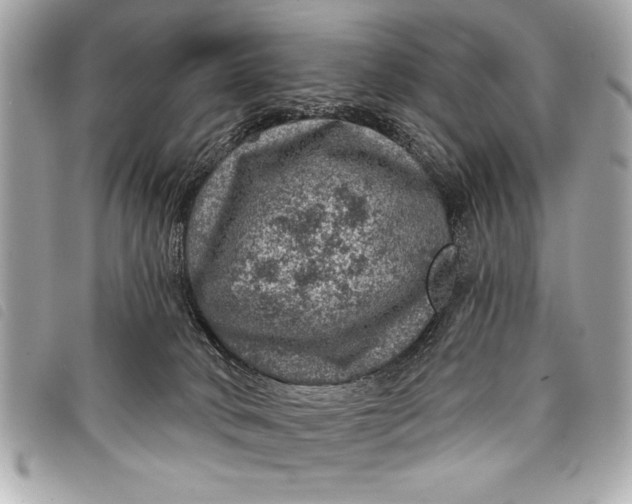 X0000098070034200804181144