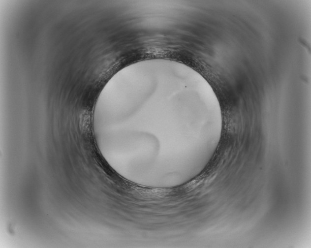 X0000098070036200804181144