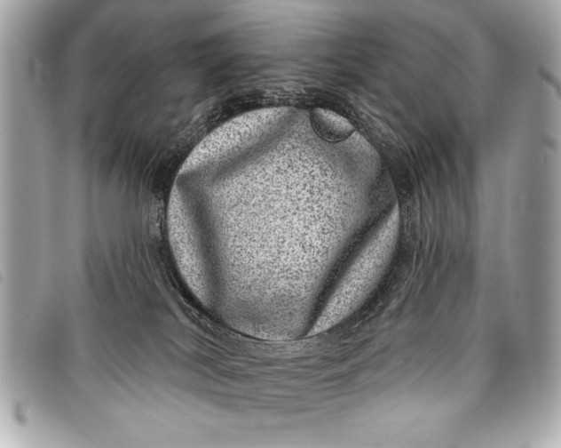 X0000098070038200804181144