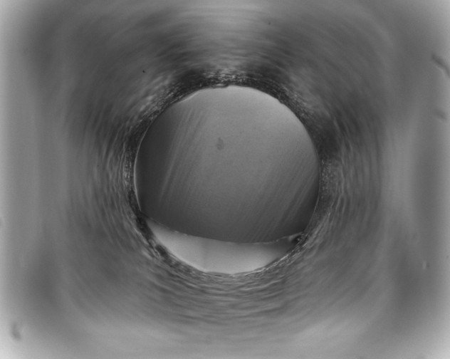 X0000098070039200804181144