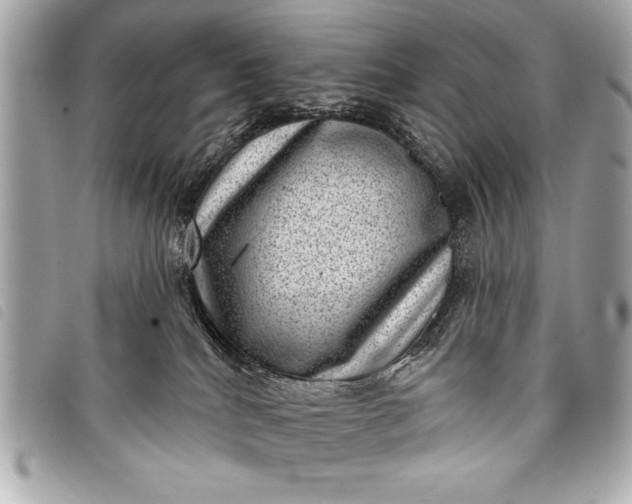 X0000098070040200804181144