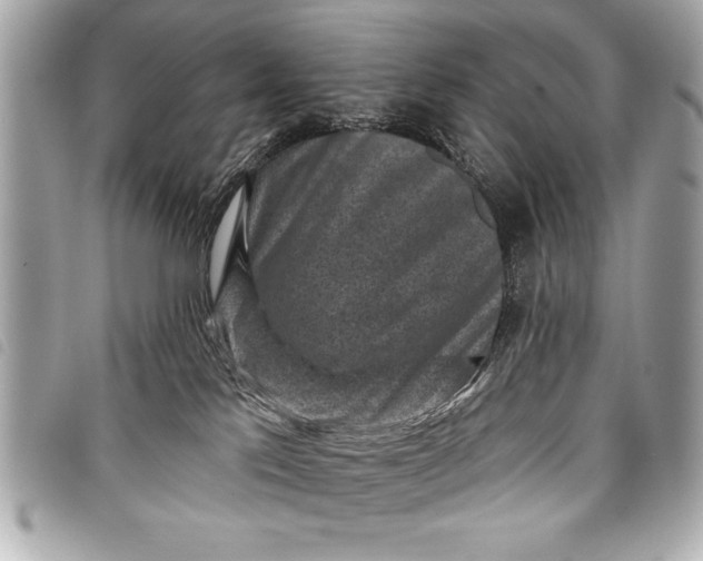 X0000098070041200804181144