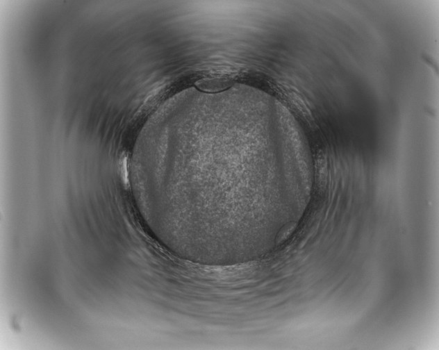 X0000098070042200804181144