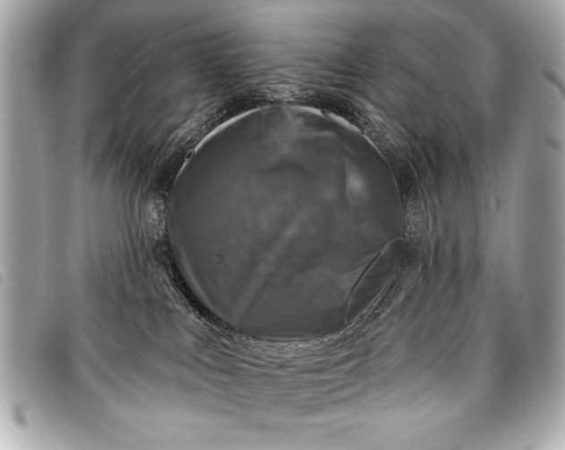 X0000098070043200804181144