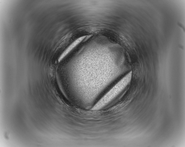 X0000098070044200804181144