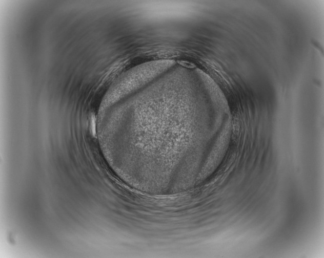 X0000098070046200804181144