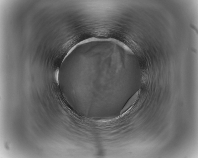 X0000098070047200804181144