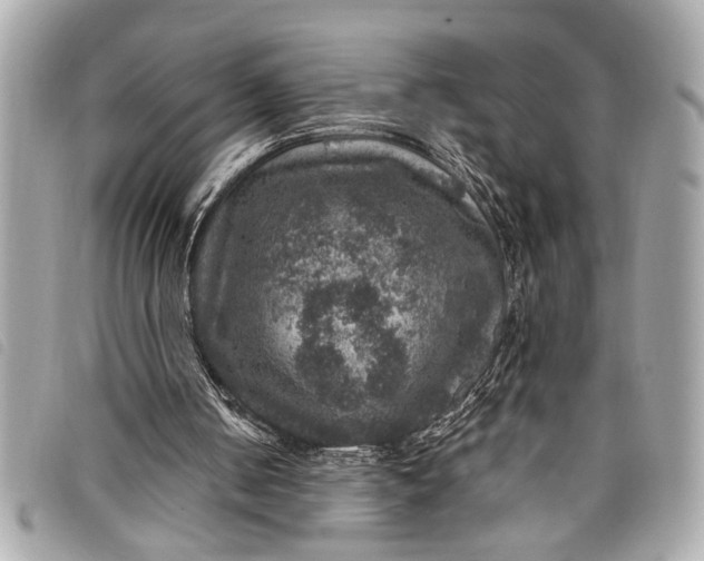 X0000098070050200804181143