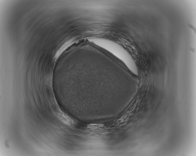 X0000098070051200804181143