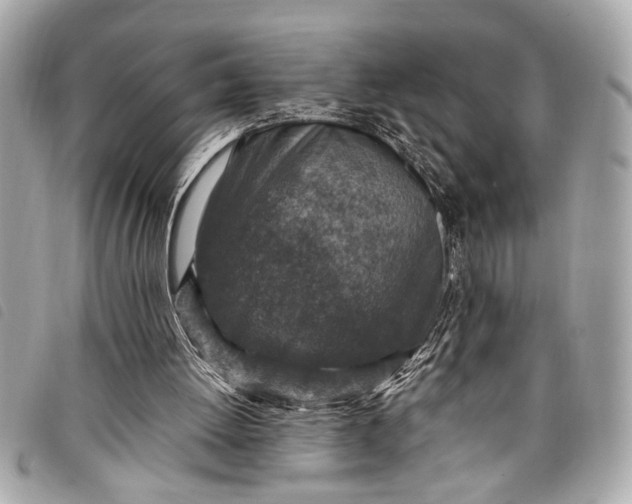 X0000098070052200804181143