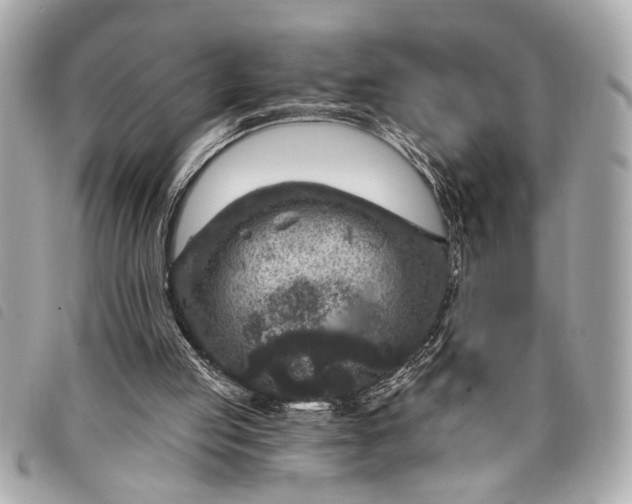 X0000098070053200804181144