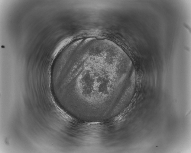 X0000098070054200804181144