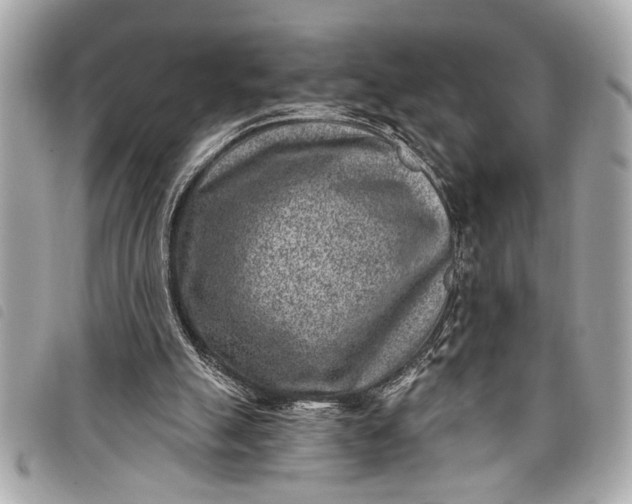 X0000098070055200804181144