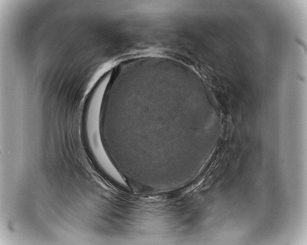 X0000098070056200804181144