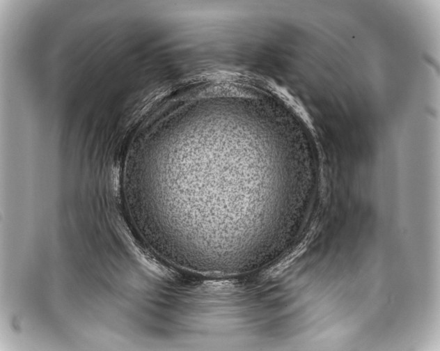 X0000098070057200804181144