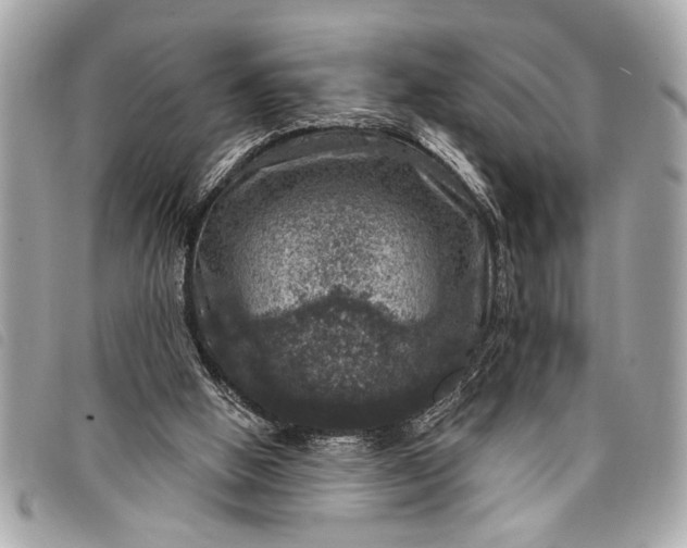 X0000098070058200804181144