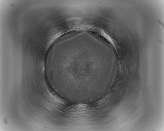 X0000098070059200804181144