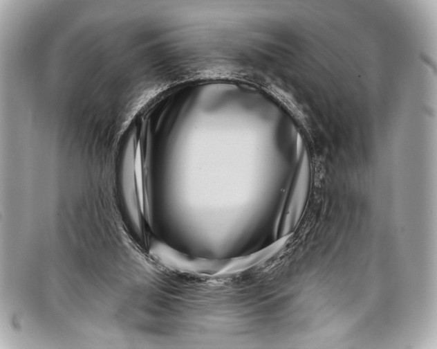 X0000098070060200804181144