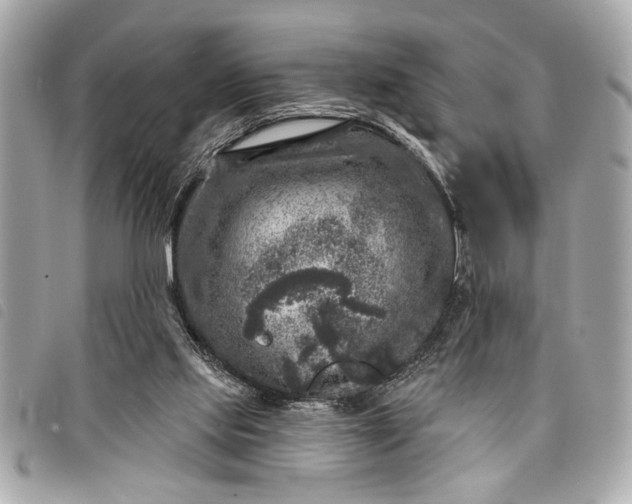 X0000098070061200804181144