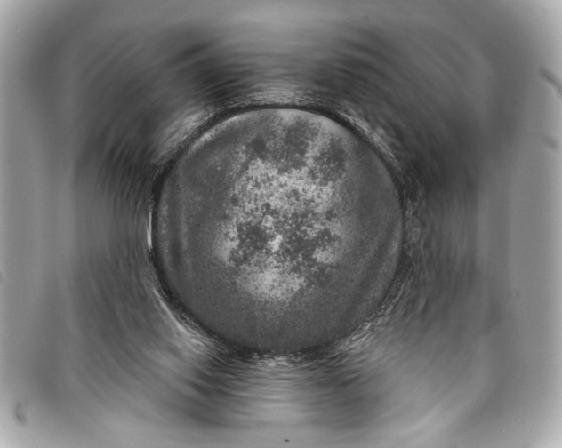 X0000098070062200804181144