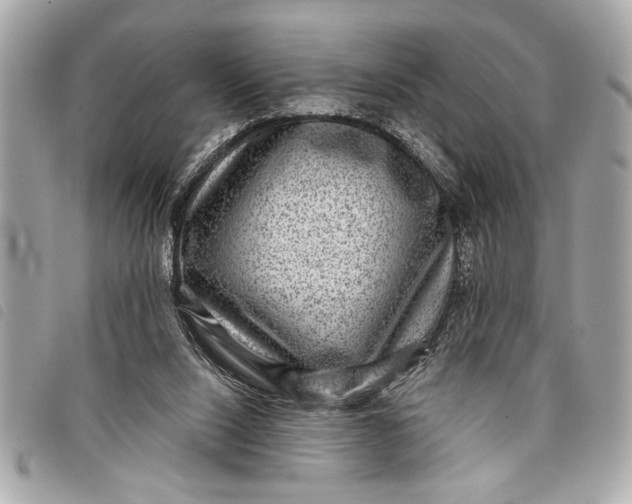 X0000098070064200804181144