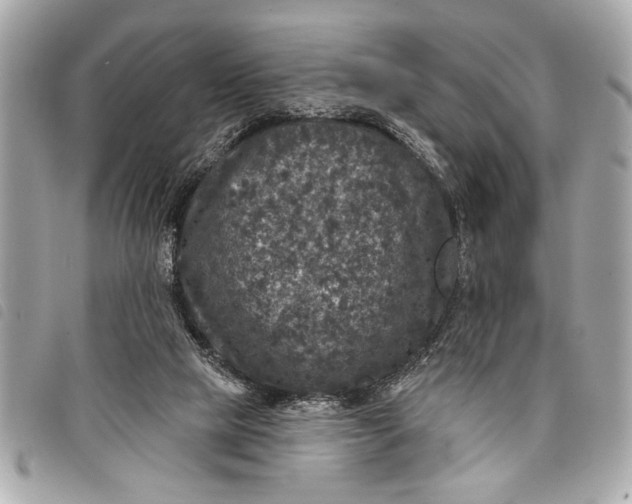 X0000098070065200804181144