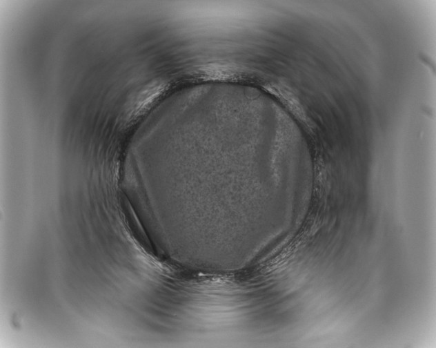 X0000098070066200804181144