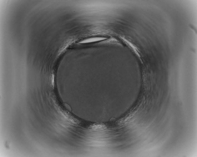 X0000098070067200804181144