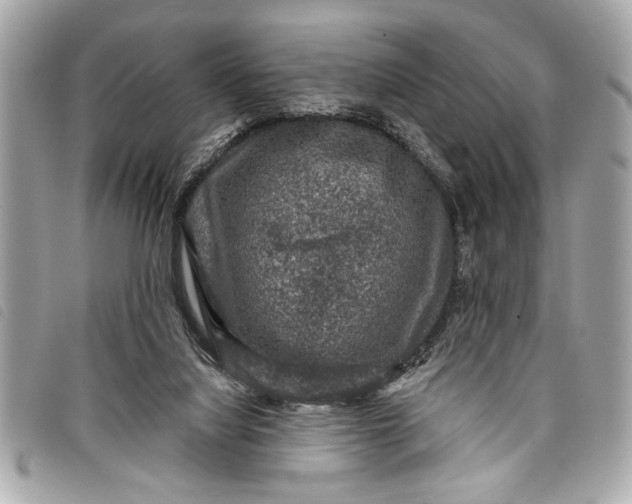 X0000098070068200804181144