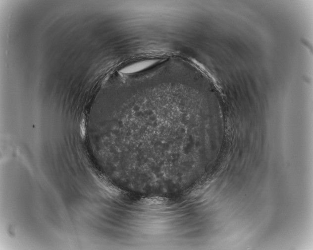 X0000098070069200804181144