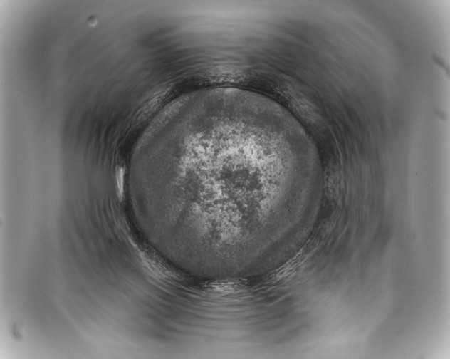 X0000098070070200804181144