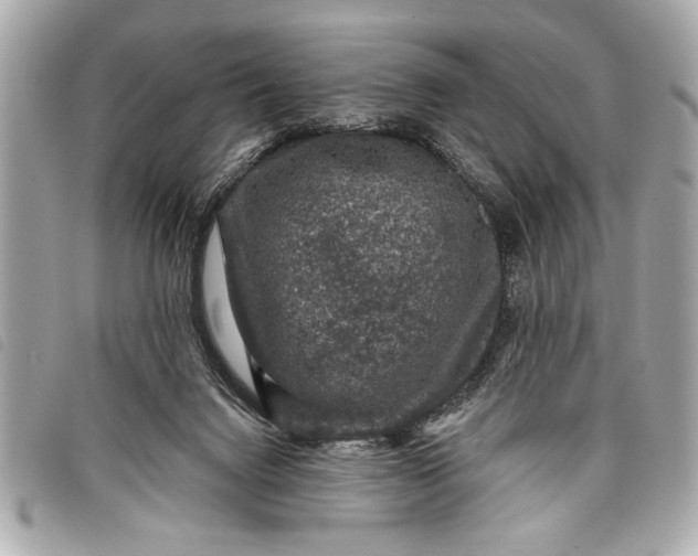 X0000098070072200804181144