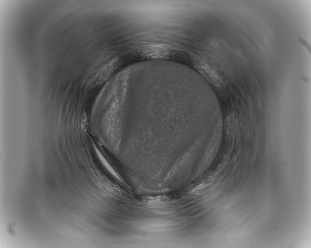 X0000098070073200804181144