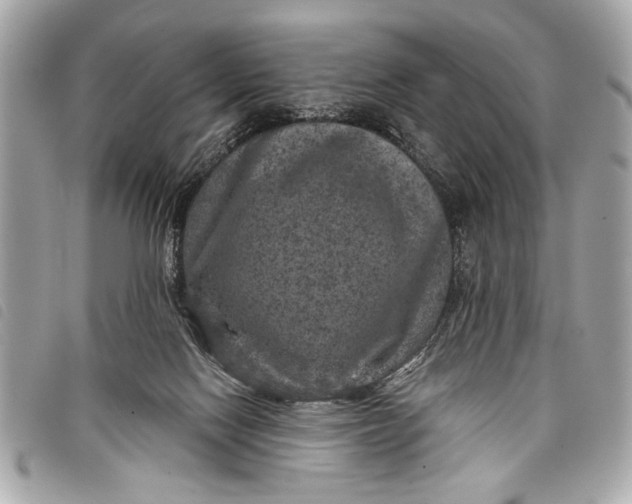 X0000098070074200804181144