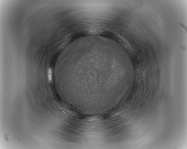 X0000098070075200804181144